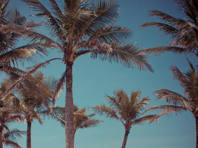 Beach-cleaning efforts bolstered by lottery winners' contribution in act of giving back