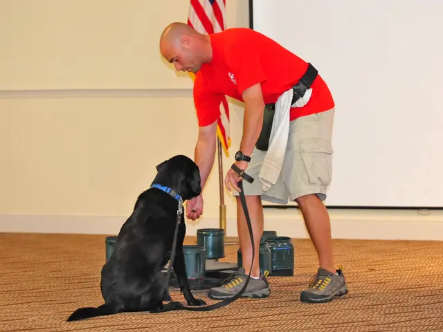 Comedian Andy Samberg discusses the unfortunate passing of Seth Meyers' pet dog, Frisbee.