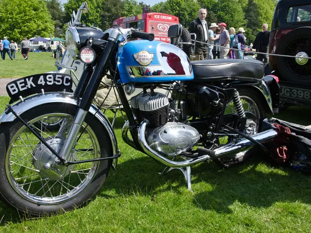 Costco's Multi-Purpose Item Shines for Camping Excursions and Beach Outings, Perfect for...