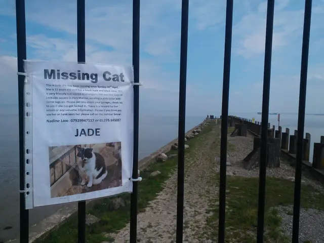 Augsburg experiences the departure of two iconic figures