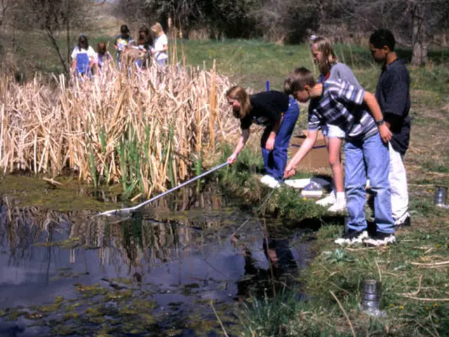 Yang Places Four Successive Bets