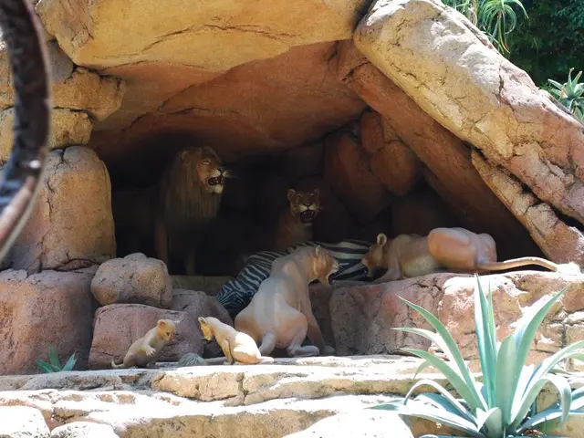 New Story Scenario for Xenoblade Chronicles 3's Expansion Pass Volume 4 to Debut on April 25