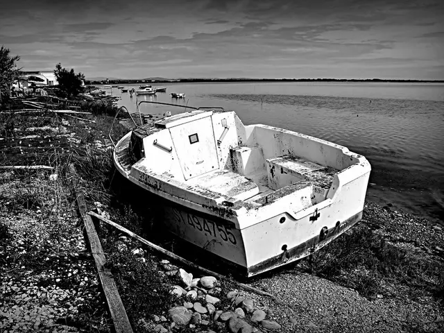 Literal Size of the Ocean Floor: Marine Metre Squared