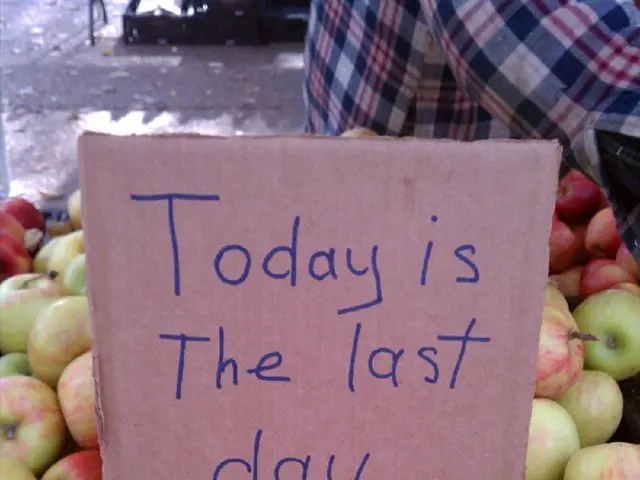 Strategies for Conquering Sundays' Anxiety