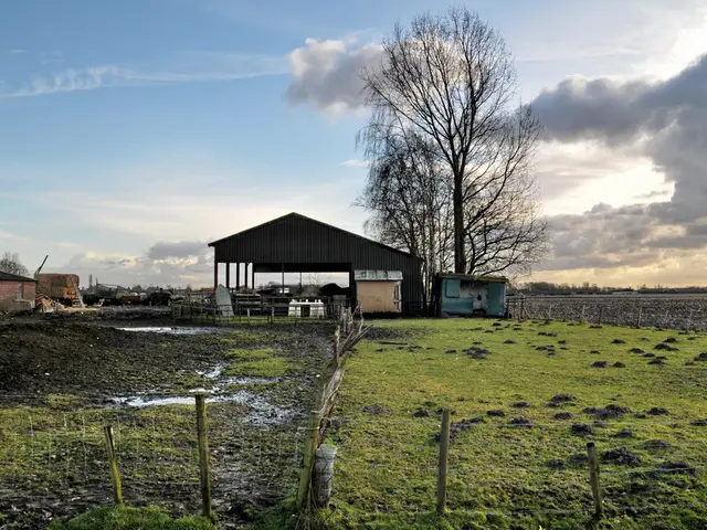 Analyzing Efficiency Differences in the United Kingdom's Economic Regions