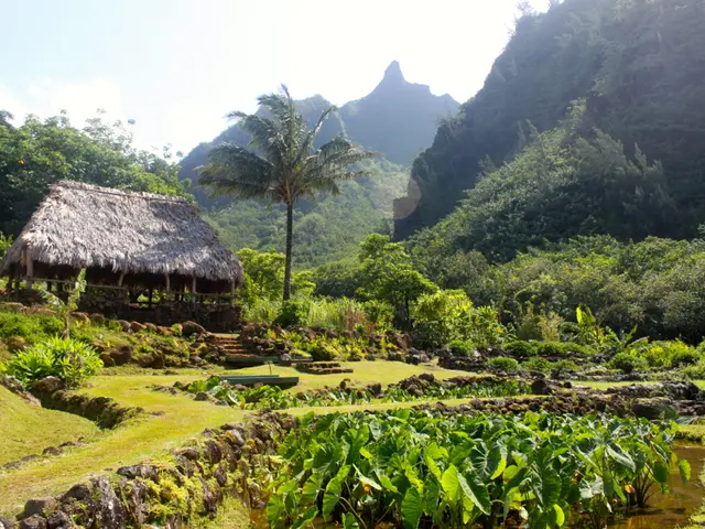 Past traumas and injuries etched on the brain: Understanding how old wounds can influence current...