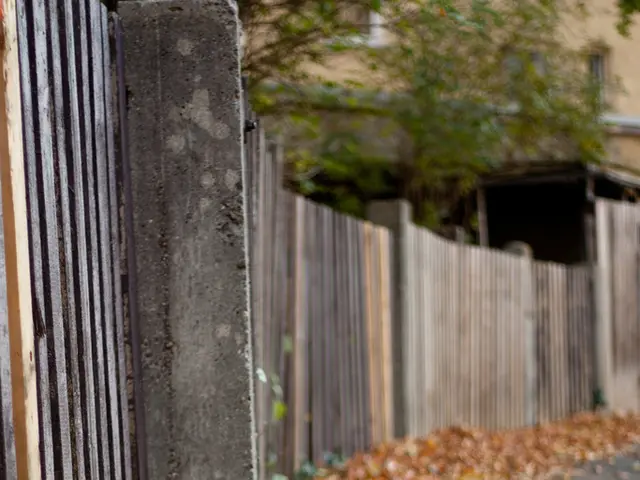 Remedies for Unintentional Leaf Loss in Bonsai Trees