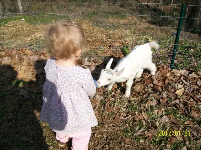 In British Columbia, digital agreements binding for leisure pursuits