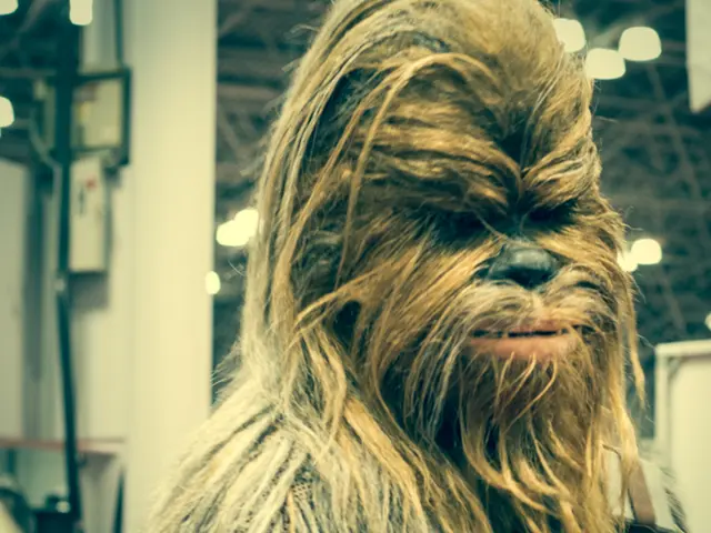 Han Solo actor Alden Ehrenreich discusses potential return to the character