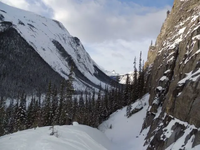 Brace yourself for cooler weather! The initial chill of the upcoming autumn is approaching soon.