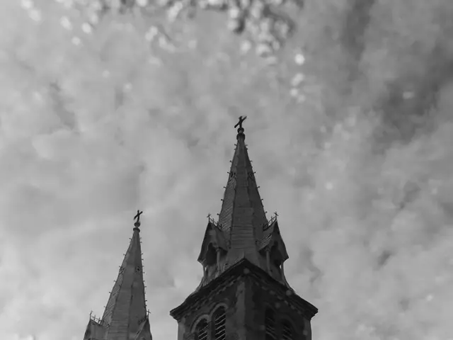 Inclement weather alert issued for fog in UAE; rain expected in certain regions