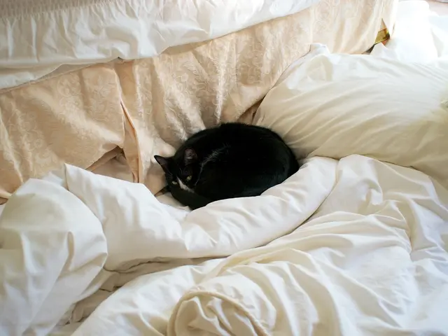 Snuggle-worthy List of 30 Comfortable Delights