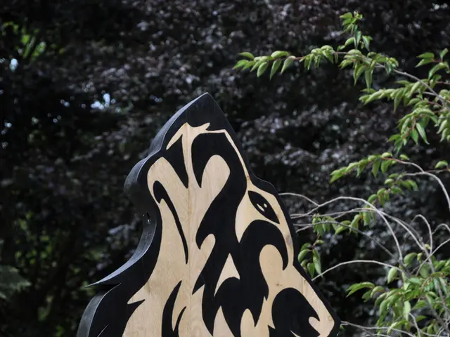 Price Fluctuations in Lumber Market