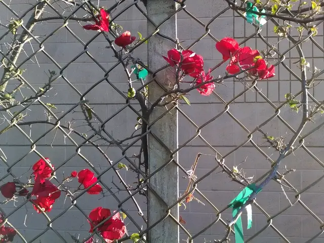 Anwar Calls for PNB to Prioritize Bumiputera and National Interests in Prolintas and Other...