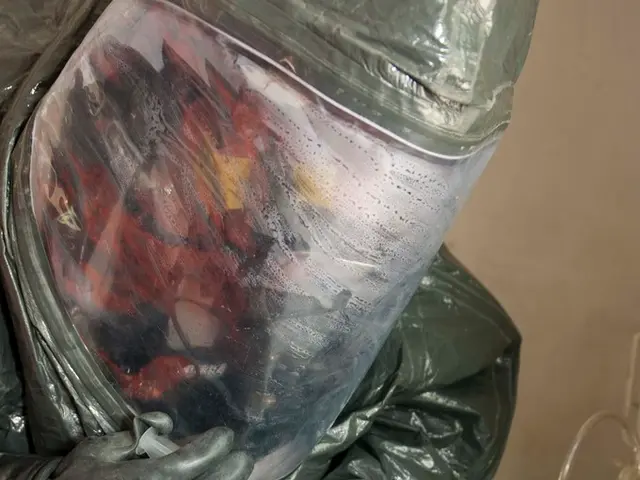 Individual, aged 30, allegedly using animal protection spray