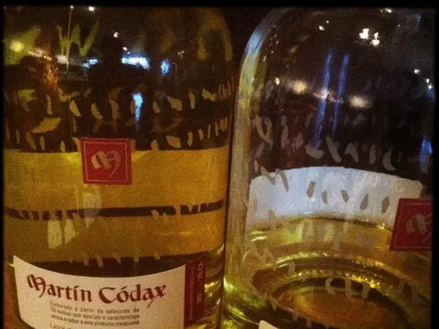 Guide to Fashion and Aesthetics