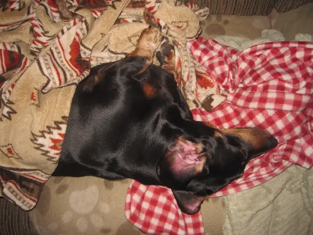 Whistleblower from Social Security Administration raises alarm over significant security threat...