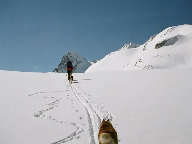 Alexander Kaury Popov and Alexander Kriowegornicyn are currently in the lead of the...