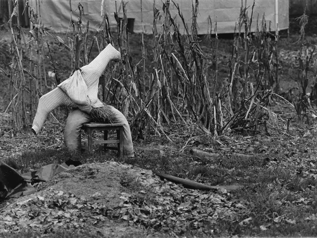 Practical Biology Studies Demonstrating Essential Outdoor Survival Skills in the Real World