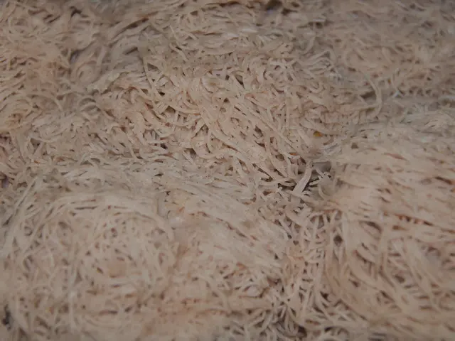 Cozy 30-Minute Pasta Dish with Bowtie Noodles and Rich Velveeta Beef Sauce Offers Ultimate Comfort