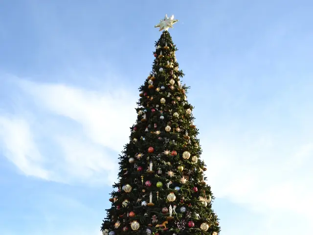 Sisters Return to Gladbeck After Period of Disappearance