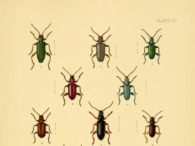 Tale of the Rose Beetle Residing in a Potted Flower