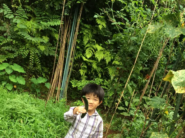 Cucumber's Bitter Taste: Causes and Ways to Prevent Its Development