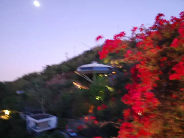 An extraordinary celestial event is imminent!