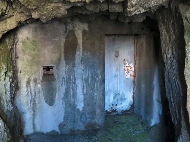 Rangers Patrolling Jungles in Northern Thailand Discover Ancient Cave with 2,000-Year-Old...