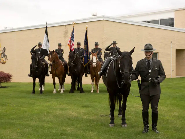 Distinguished Jury-Rated Competition for Hats, Horse Accessories, and Hair Styles
