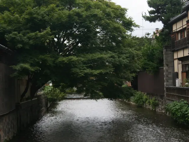 Exclusive Real Estate Offering: 36463 Butternut Point Road, Pequot Lakes