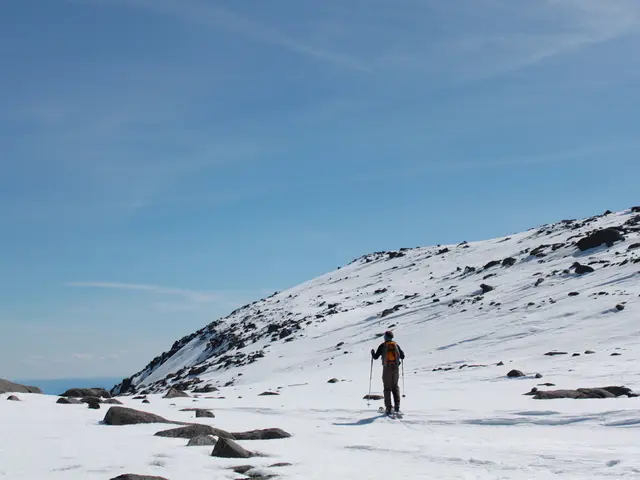 Unleashed and Unbridled: Snowskating and Powsurfing in the Unshackled 'Unstrapped Too'?