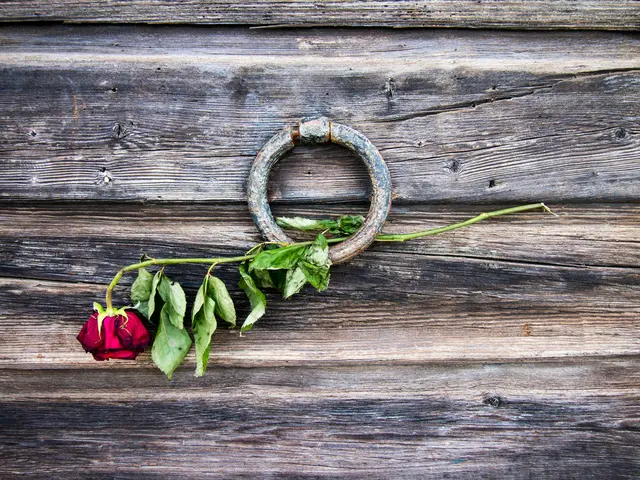 Titled Transformation: The Meeting of Iron and Blossom