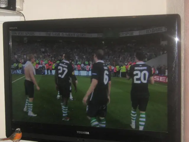 Entertainment Sources Diversified as Viewers Engage with 13 Distinct Channels