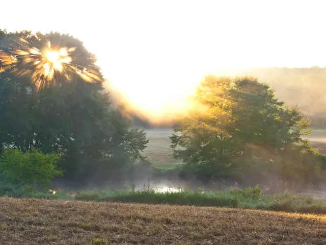 Prolonged dryness takes hold in Kentucky, with large regions experiencing atypical aridness.