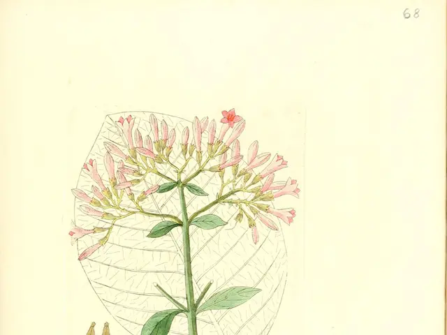 Advanced Technologies in Aging Skin Care for Authentic Aging Processes