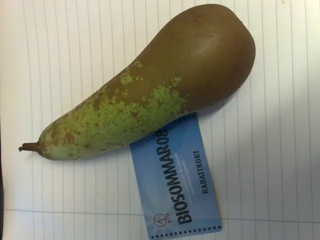 "State Duma Deputy Discusses Fraudsters Operating Within "Gosulyuby" Organization"