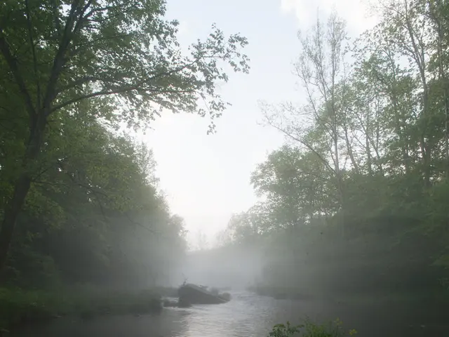 Ex-Department of Justice attorney affiliates with environmental advocacy organization