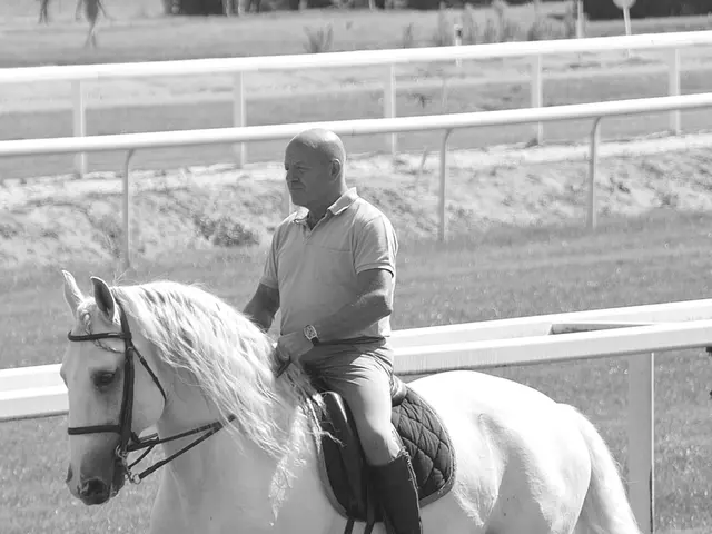 Considerations for Managing a Horse Prone to Cribbing