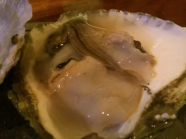 Britain Provides Million Pounds for the Enhancement of Oyster Population