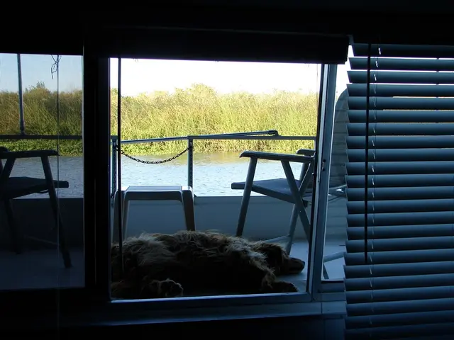 County of Kassel's Animal Welfare Expert Offers Heat Protection Strategies for Four-Legged...