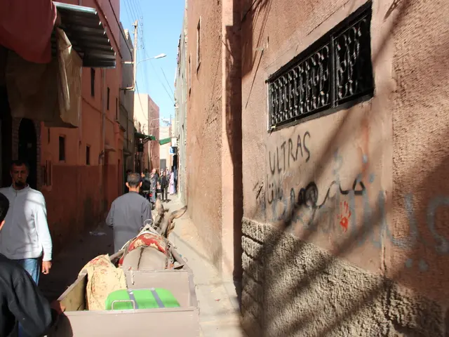 Pheu Thai Party Claims Lack of Readiness if Adverse Court Decision Impacts Premiership