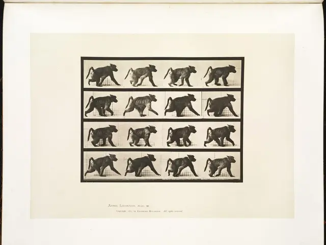 Over a dozen baboons cruelly killed in Nuremberg zoo due to space constraints.