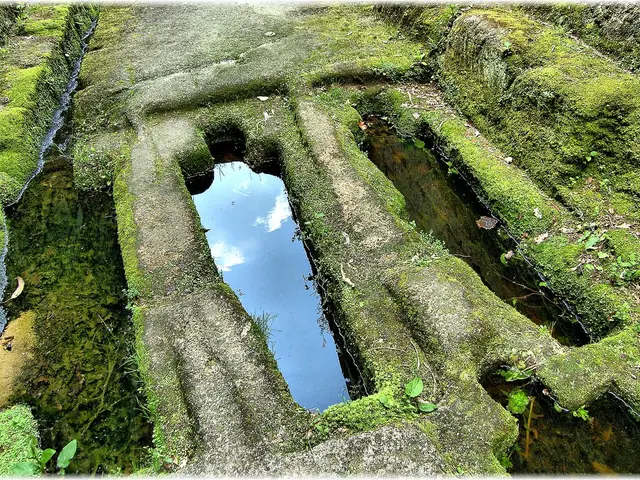 A novel form of hydrogen has been uncovered, one with the potential to abolish global hunger.