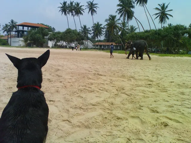 Preparation for an epic in-game battle advances among Path of Exile 2 participants, driven by the...