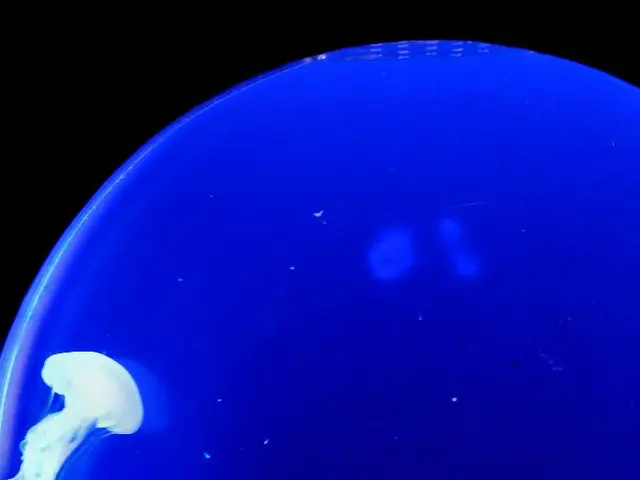 Life Discovered in Unusual Pacific Ocean Depths