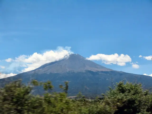 Vegetation barrier installed on walls to prevent the spread of unwanted flora