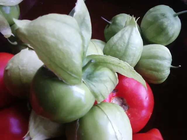 Timing Matters: Ensure Perfect Sowing of Your Crops for Optimal Growth