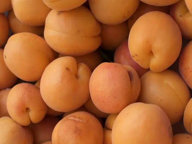 Experiment with Different Okra Types, Extending Beyond the Clemson Spineless