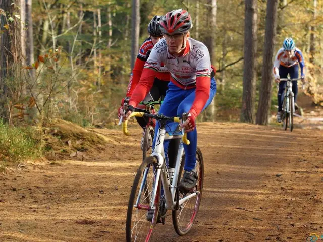 Cyclist Incident in Grasellenbach: Call for Testimony Following a Bicycle Accident Involving Two...